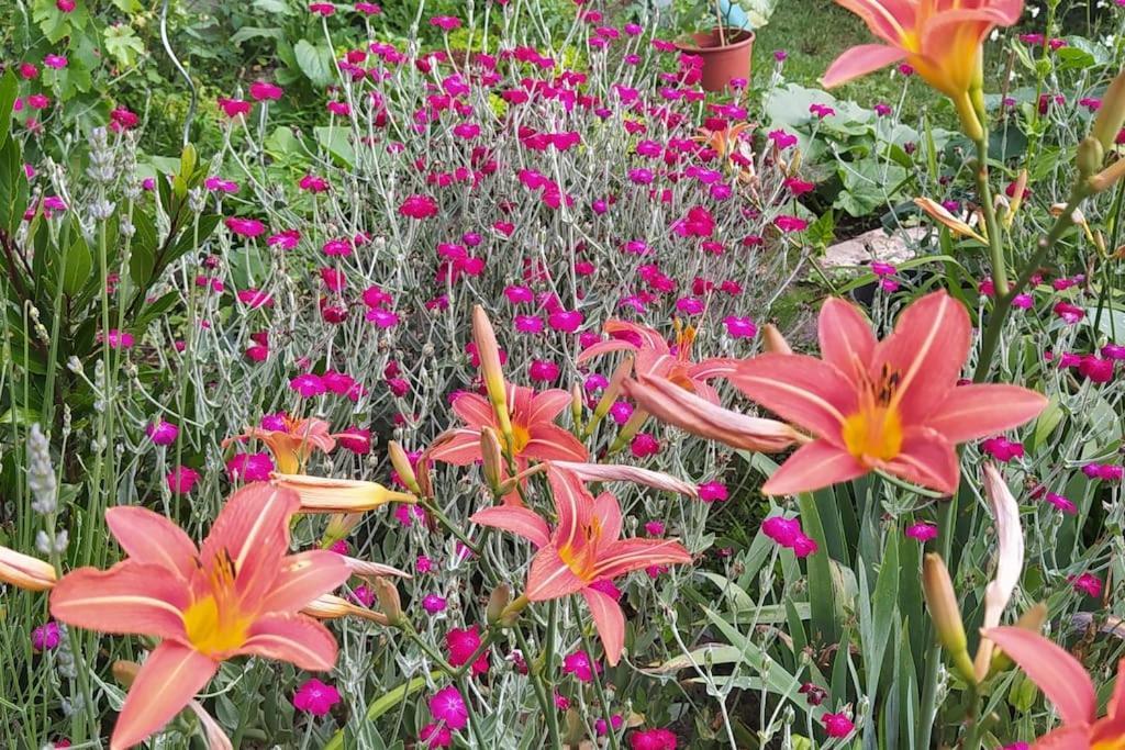 Gite Les Lilas La Genevraye Exterior foto